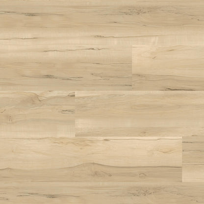MSI Nove Akadia 9x48 Extra-Wide Waterproof Glue-Down Luxury Vinyl Plank (54.00 sq. ft./box)