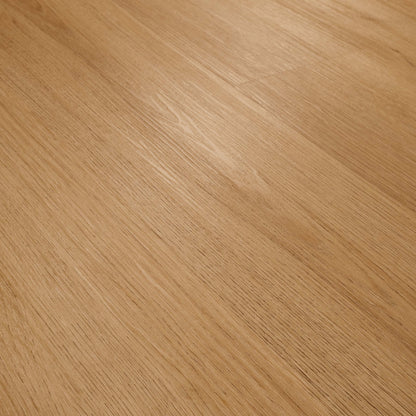 Cyrus Amber Forrester 7x48 Luxury Vinyl Planks