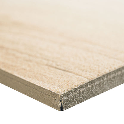 Aspenwood Artic 9X48 Matte Porcelain Tile