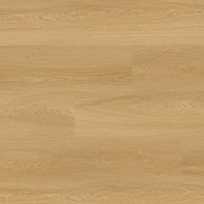 MSI Nove Bayside Bluff 9x48 Extra-Wide Waterproof Glue-Down Luxury Vinyl Plank (54.00 sq. ft./box)
