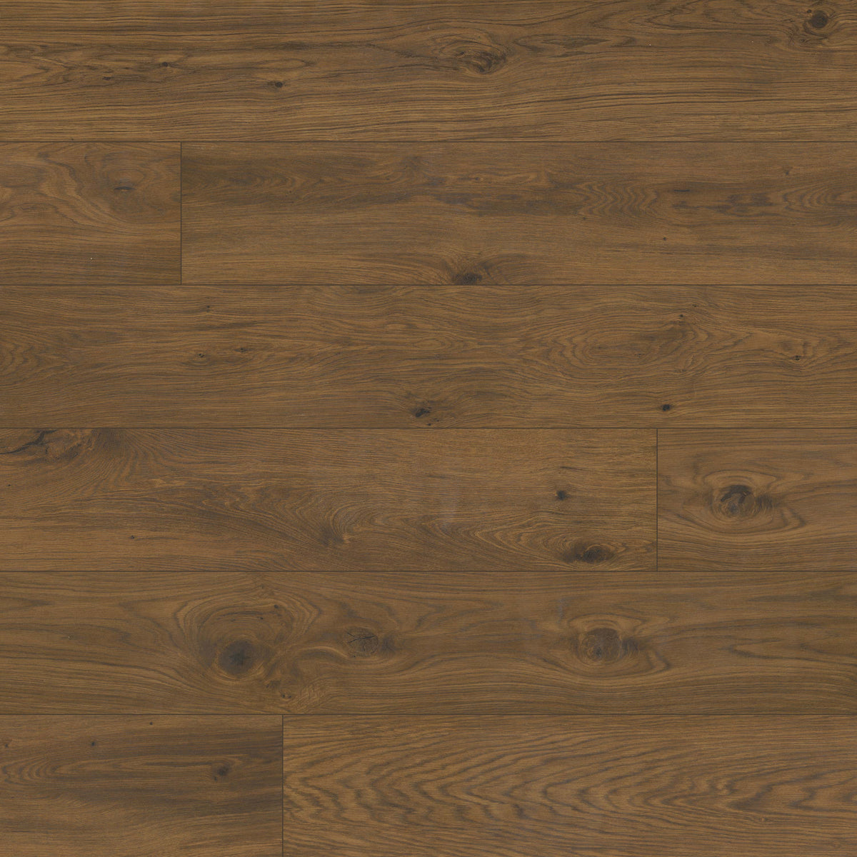 MSI Valgrande Clayborne 10" x 62" Wood Look Matte Porcelain Tile
