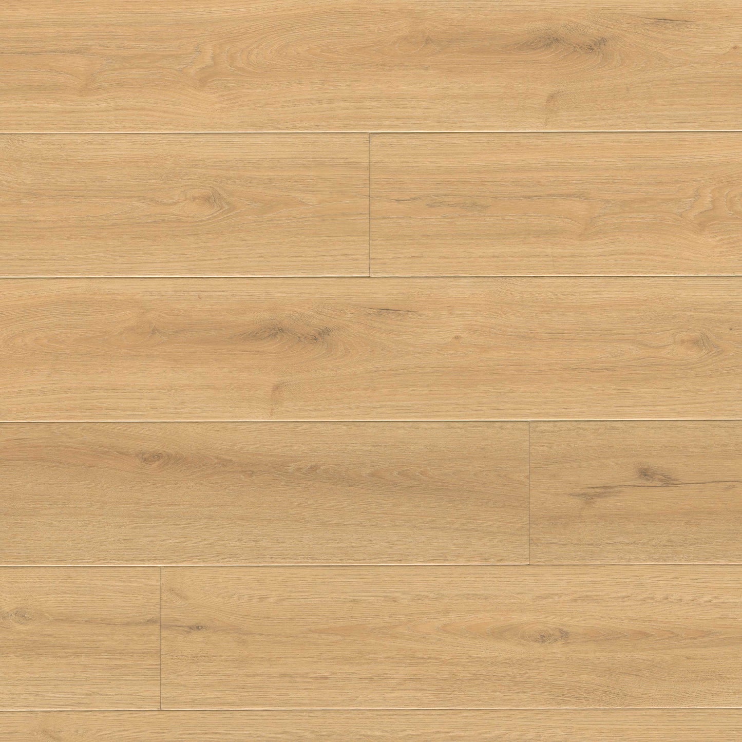 MSI Wayne Parc Elwood 9" x 60"  Waterproof Luxury Vinyl Plank (22 Mil Wear Layer)
