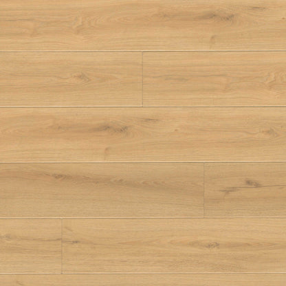 MSI Wayne Parc Elwood 9" x 60"  Waterproof Luxury Vinyl Plank (22 Mil Wear Layer)