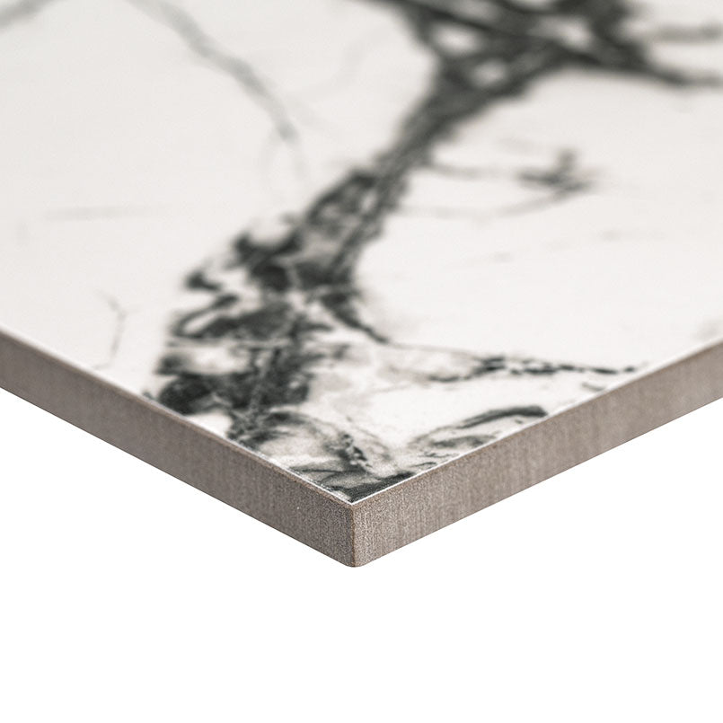 Exotika Lux Iceberg 24x48 Polished Porcelain Tile
