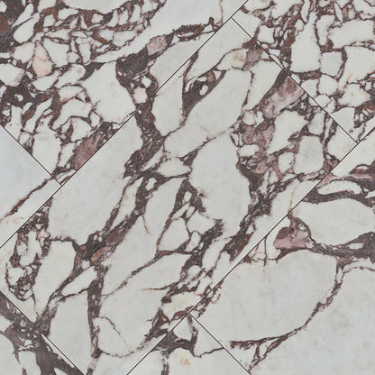Exotika Violetta 24x48 Polished Porcelain Tile