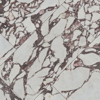 Exotika Violetta 24x48 Polished Porcelain Tile