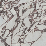 Exotika Violetta 24x48 Polished Porcelain Tile