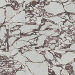 Exotika Violetta 24x48 Polished Porcelain Tile