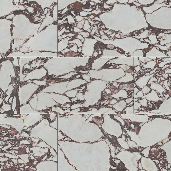 Exotika Violetta 24x48 Polished Porcelain Tile