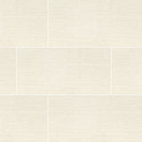 Focus Glacier 12X24 Matte Porcelain Tile