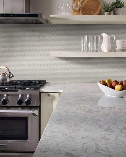 Gray Glossy 12x12 Penny Round Mosaic Tile