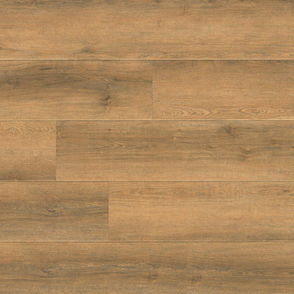 MSI Wayne Parc Macland 9" x 60"  Waterproof Luxury Vinyl Plank (22 Mil Wear Layer)