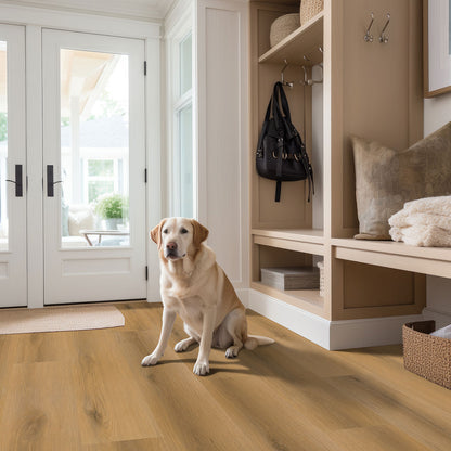 MSI Nove Scandi 9x48 Extra-Wide Waterproof Glue-Down Luxury Vinyl Plank (54.00 sq. ft./box)