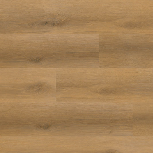 MSI Nove Plus Scandi 9" x 48" Extra-Wide Waterproof Glue-Down LVP | Commercial & Residential | 54 sq ft/Box