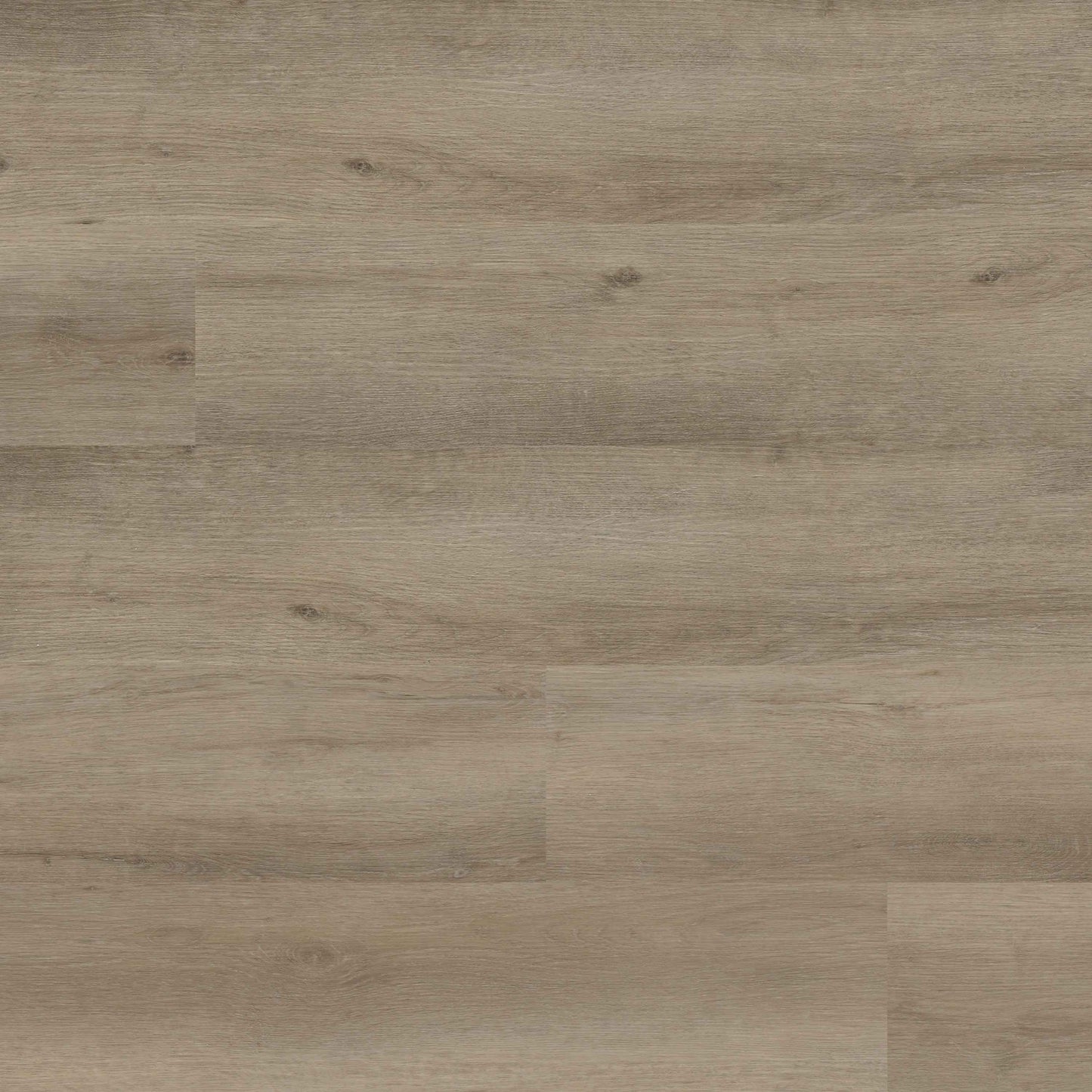MSI Everlife Studio Lark 9" x 48" Waterproof Luxury Vinyl Plank (9mm / 30 MIL)