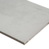 Carrara White 6X24 Matte Porcelain Ledger Panel