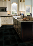 Premium Black Granite 12X12 Honed Tile