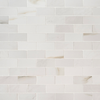 Aria Bianco 2x4 Polished Mosaic Tile