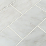 Arabescato Carrara White 3x6 Honed Marble Subway Tile