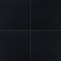 Premium Black Granite 12X12 Polished Tile