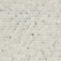 Arabescato Carrara 1x1 Hexagon Honed Marble Mosaic
