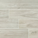 Catalina Ice 8x48 Polished Porcelain Floor and Wall Tile