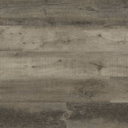 Cyrus Wolfeboro 7x48 LVT by MSI